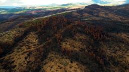 953 hektar kül oldu! Bursa'yı yeniden yeşertecek ilk adım atıldı