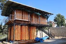 Adana'da bir köy açık fabrikaya dönüştü! 7'den 70'e herkes işin içinde