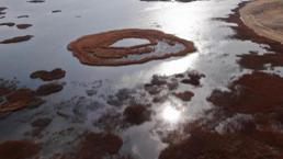 Dünyanın en eskisi Van'da! Profesör kötü haberi verdi: Maalesef tamamen kaybedeceğiz