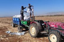 Tahıl ambarı olarak bilinen ovada kuraklık! Ürünlerin ekimi 2 ay gecikti