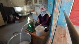 Erzurum'un doğal antibiyotiği! Kilosu 500 lira ama tam bir şifa kaynağı