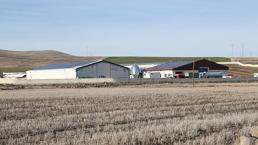 Nevşehir'in köyüne kurdu! 20 tane ile başladı, şimdi 160 tane var, günde tonlarca üretiyor