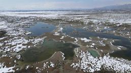 Erzincan'da görsel şölen: Ekşisu Kuş Cenneti büyülüyor