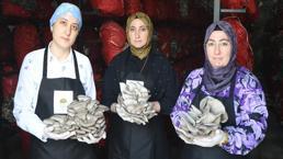 İşinden istifa edip çadırda servet değerinde üretime başladı! Şimdi talebe yetişemiyorlar