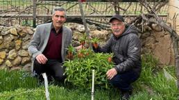Eskişehir'de köy mezarlığında ortaya çıktı! Görenler inanamıyor, bunu yapan 700 bin TL hazırlasın