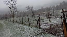 Sakarya’da soğuk hava etkisini artırdı yüksek kesimler beyaza büründü