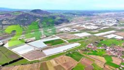 Modern tarımın yeni adresi Samsun'un bu ilçesi oldu! Karadeniz'de başarı hikayesi yazılıyor