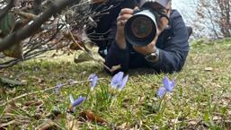 Kocaeli'de bu yıl da görüldü: Foto safariyle ölümsüz kareler yakalandı