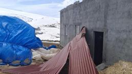 Kars'ta kuvvetli rüzgar evlerin çatılarını uçurdu