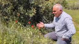 Denizli'de ender rastlanan o tür ilk kez görüldü! Bölgede büyük heyecan oluşturdu