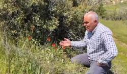 Denizli'de endemik türlerden birine rastlandı