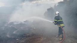 Hatay Hassa'da zeytinlik yangını çıktı