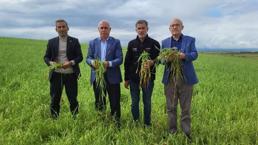 Adıyaman’da dolu kabusu! Buğday, arpa ve tütün tarlaları yok oldu