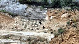 Eğirdir'de dağlık alanda mahsur kalan 2 çocuk kurtarıldı