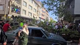 Karacabey’de seyir halindeki araçların üzerine ağaç devrildi