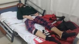Yılan otu Türk Örümcek Adam'ı hastanelik etti