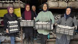 Ev hanımıydı, şimdi onlarca kadına maaş ödüyor: Her şey 5 çadırla başladı, şimdi talebe yetişemiyorlar! Hatay'da 150 ailenin yeni geçim kapısı oldu