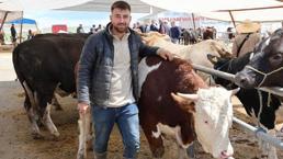 Büyükbaş hayvan fiyatlarının otomobil fiyatlarıyla yarışıyor! İşte 830 kiloluk tosunun fiyatı