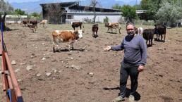 İstanbul'u terk edip memleketine yerleşti: Hobi olarak başladığı ikinci mesleğinde profesyonel üretime geçti