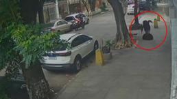 Brezilya’da kaldırımda yürüyen kadın kanalizasyona düştü, rögar kapağı üstüne kapandı
