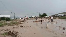 Yağış sele neden oldu Elazığ-Tunceli yolu ulaşıma kapandı