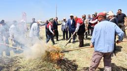 Adıyaman’ın asırlık eşsiz lezzeti firik bulgurunun hasadı başladı