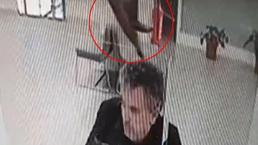 Banka şubesinde işlem yaparken üzerine kedi düştü