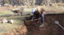Elazığ'ın köyünde tarlada çalışırken buldu! Türkiye'de daha önce görülmedi, yüzlercesi fışkırdı