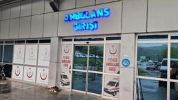 Eşek arısının sokması sonucu yoğun bakıma kaldırıldı