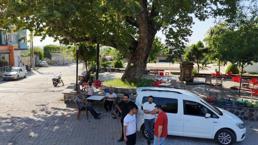 260 yıllık mahallenin simgesi yaz sıcağında doğal klima oluyor
