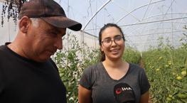 Adanalı baba-kız bin 500 rakımda sera kurdu! Şimdi tonlarca ürün alacaklar