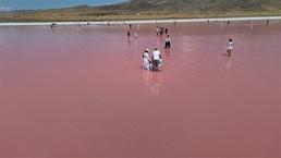 Şifa izdihamı! Almanya ve Avusturya'dan akın ettiler: 'Pembe mucize' bir masala dönüştü