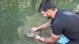 Altın avcısı Türkiye'nin derelerinden her gün 5 gram altın çıkarıyor