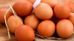 Salmonella salgınında vaka sayısı 318’e yükseldi