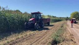 Az su istiyor diye 12 dönüme ekti: İlk yılında 10 ton verim aldı, şehirde ilk denemeyi yaptı