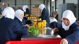 Bursa’da ezber bozan üretim! Tarlada kalıyordu, şimdi kapış kapış satılıyor: Avrupa peşine düştü