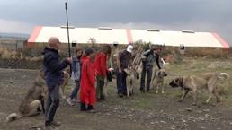İtalya'dan Eskişehir'e gelip 1 ay gizlice izlediler: Böylesini görmedik