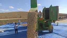 Nevşehir'in eşsiz lezzeti coğrafi işaret tescili aldıktan sonra üretim alanını katladı