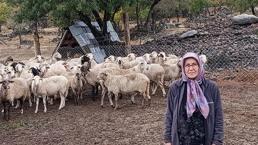Bolu’da orman köylüsüne müjde! Devlet yüzde 20 hibe ile hayata geçirdi