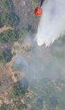 title