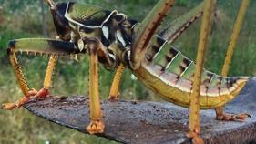 title