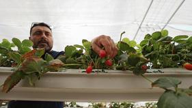 title
