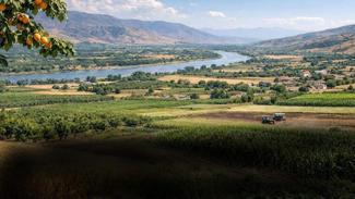 Malatya'nın 5 üretim üssü: Kayısının ardında bu sır yatıyor