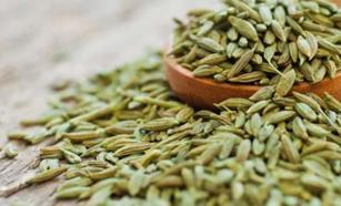 Emziren anneler ne kadar rezene çayı tüketmeli?