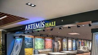 Artemis Halı hangi bankalarda var? Artemis Halı halka arz kaç lot verir, katılım endeksine uygun mu?