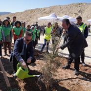 Milas'ta eski maden sahasına 1500 fidan dikildi