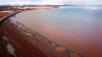 Van Gölü kahverengiye döndü! 10 kilometrelik alan havadan görüntülendi