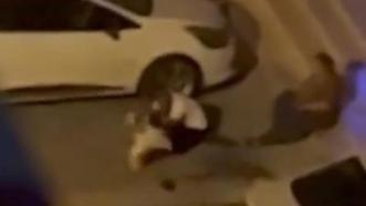 Adana'da evden kaçan pitbull dehşeti: İki kişiyi yaraladı