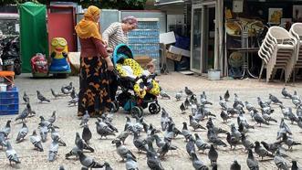 Binlerce kuşun bulunduğu Atatürk Parkı çocuklu ailelerin vazgeçilmezi oldu! "Simge gibi oldu"