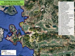 İzmir Valiliği, girişi yasaklanan ormanların listesini yayınladı